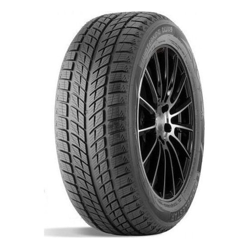 DOUBLESTAR DW09, 215/45R17, 91H, B (4 Ply), BSW - 60091701