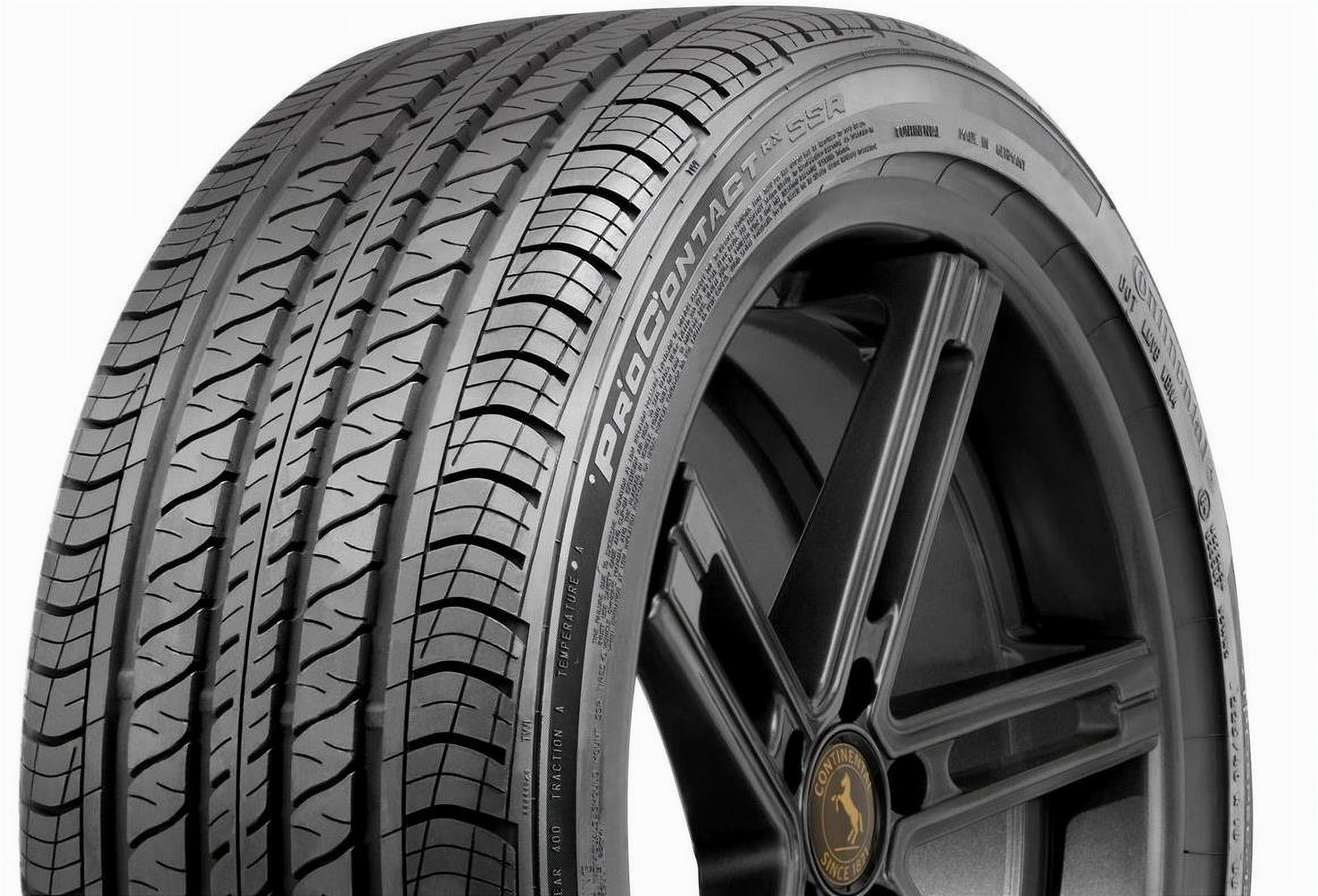 Continental CONTIPROCONTACT RX 305/30R21 104H XL BSW - Image 4