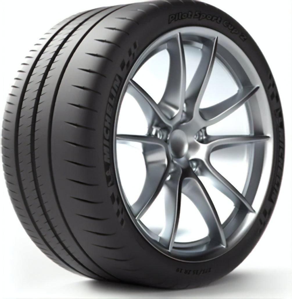 Michelin PILOT SPORT CUP 2 R 315/30R21 105(Y) XL BSW - Image 1