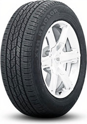Bridgestone POTENZA RE-71RZ 255/35R19 96W XL BSW - Image 2