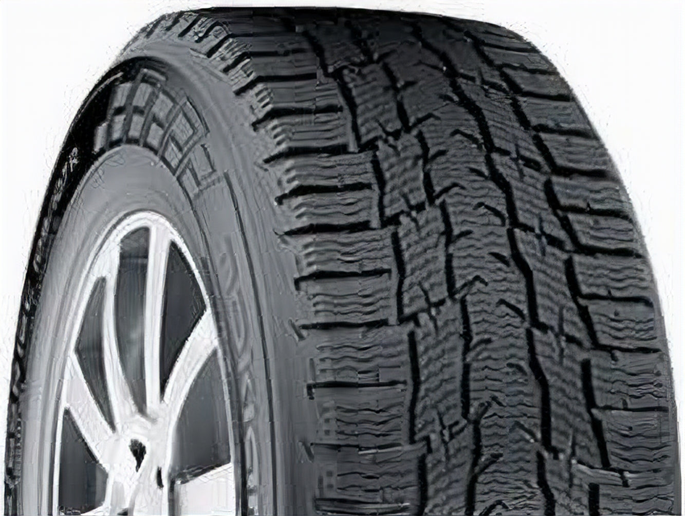 Nokian WR C3 D8 LT205/65R16 107/105T - Image 2