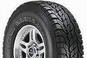 Bridgestone BLIZZAK WS90 225/55R18 98H SL BL - Image 13