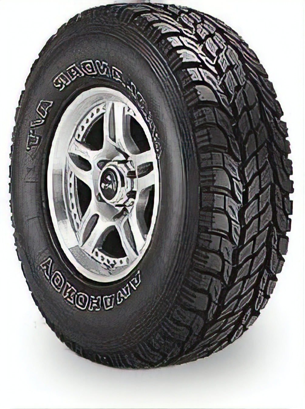 Bridgestone BLIZZAK WS90 225/55R18 98H SL BL - Image 14