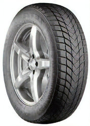 225/50R17 ZETA ANTARCTICA 5 MS 98H XL - Image 3