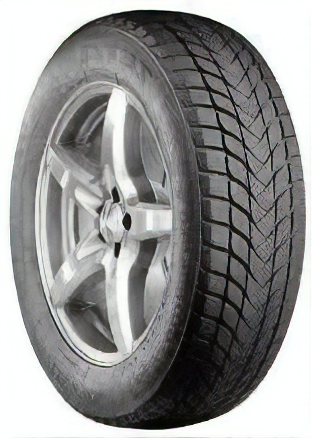 205/55R16 ZETA ANTARCTICA 5 MS 91H - Image 3