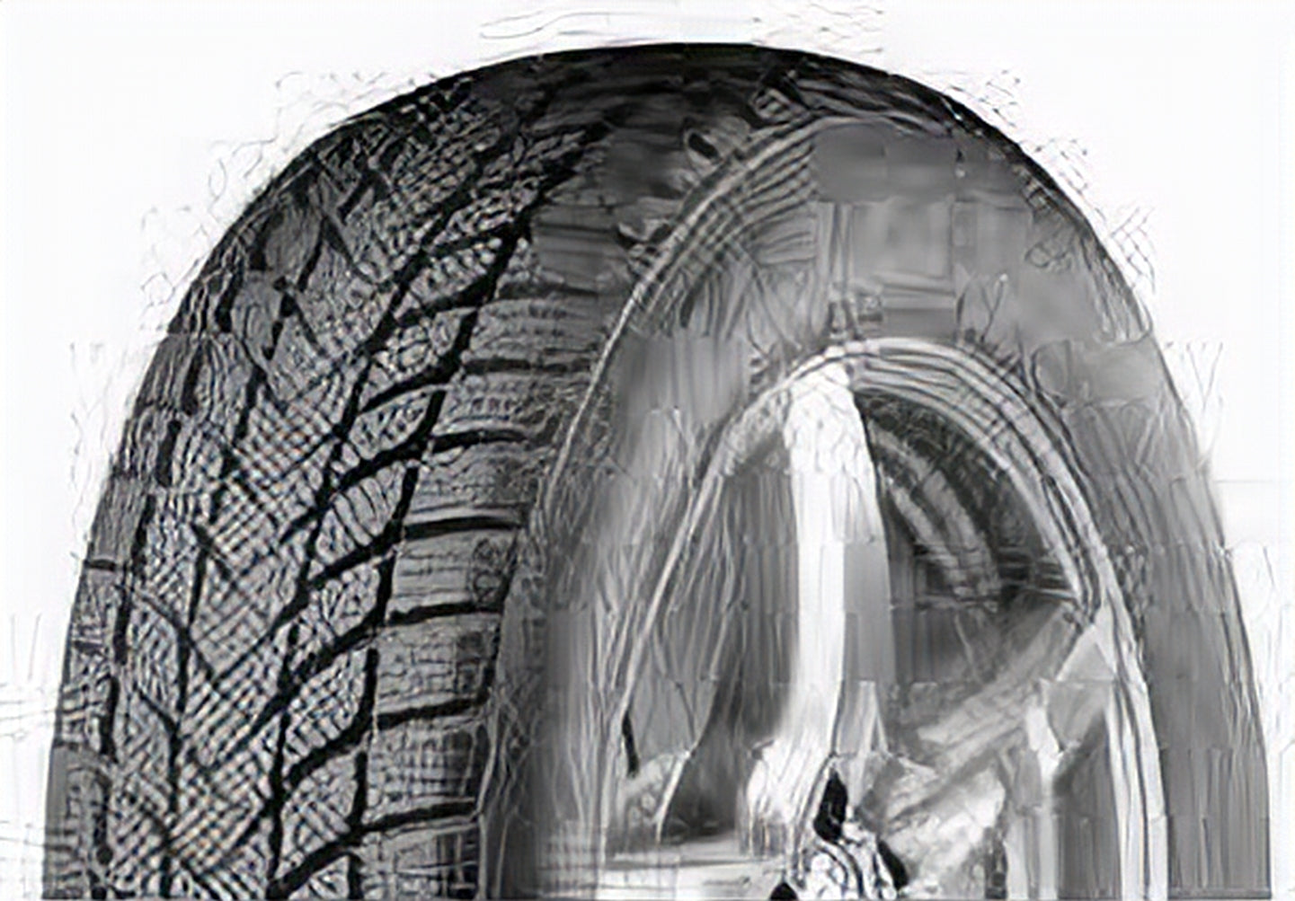 215/55R16 ZETA ANTARCTICA 5 MS 97V XL - Image 4