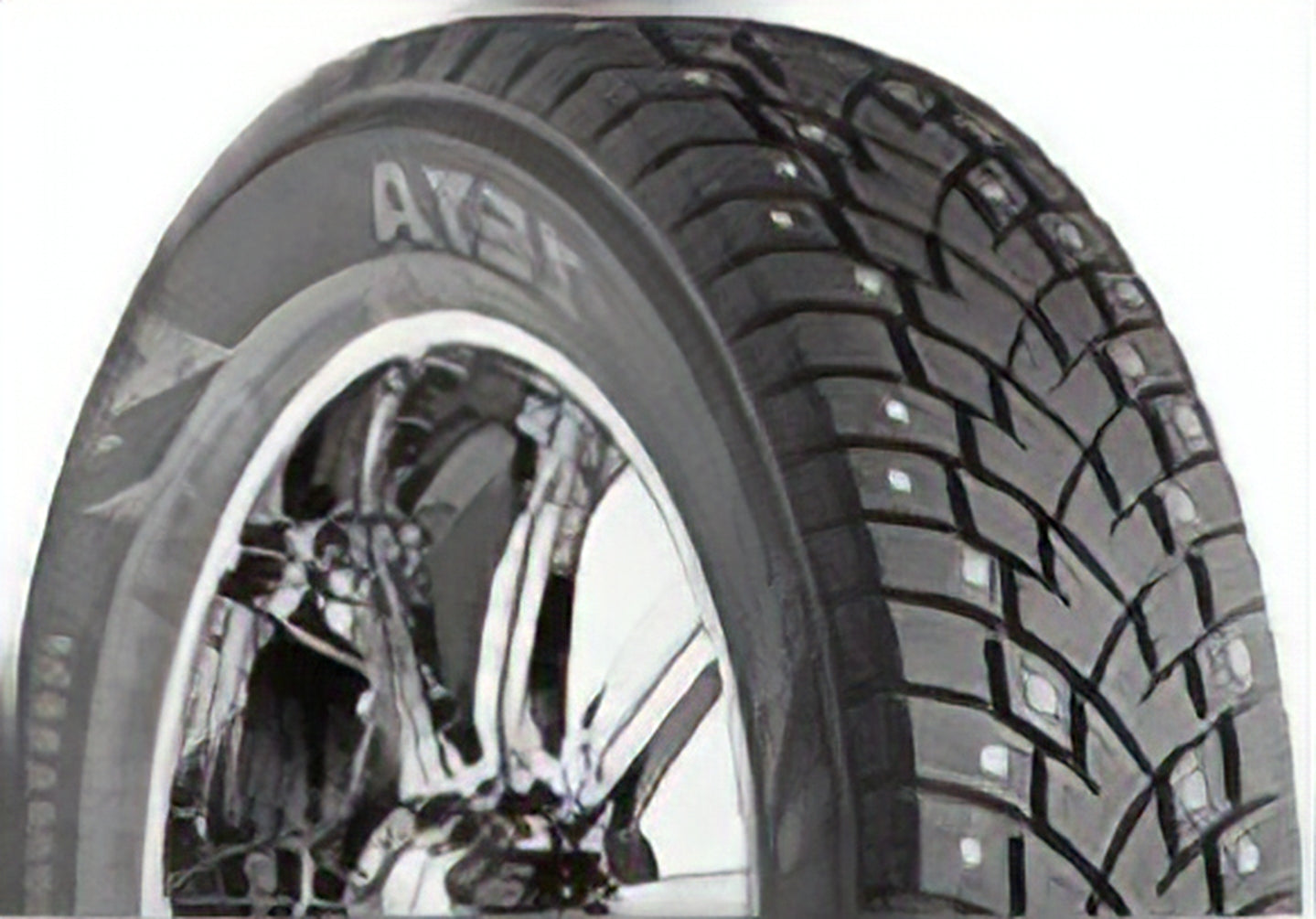 235/65R16C-10PRZETA ANTARCTICA SPORT 121/119RSTUDDABLE - Image 2